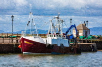 Maryport Fishing Boat | Pictures of Maryport, Cumbria, Piers, West Cumbria, Lighthouse, Maryport, PhotoPaper Art Prints, Wall Art Prints, Canvas Art Prints, Artwork, North Quay, Town, Harbour, Art, Aluminium Wall Art Prints, Pictures, Photos, Unique Artwork and Photo Prints Pictures of Maryport, Cumbria, Piers, West Cumbria, Lighthouse, Maryport, PhotoPaper Art Prints, Wall Art Prints, Canvas Art Prints, Artwork, North Quay, Town, Harbour, Art, Aluminium Wall Art Prints, Pictures, Photos, Unique Artwork and Photo Prints