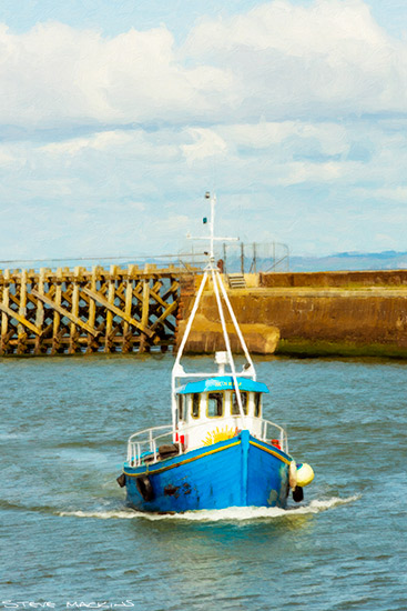 Kingfisher - Fishing Boats - Maryport Cumbria, Wildlife & Landscape Prints Kingfisher