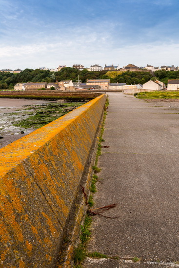 Maryport - Maryport Shoreline - Maryport Cumbria, Wildlife & Landscape Prints Maryport
