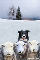 Herdies, Herdy Art, Herdwick Sheep Acrylic Paintings, Herdwick Sheep Oil Painting, Herdwick Sheep Oil Painting, Herdwick Sheep, Herdwick Sheep Sketch, Herdy, Herdwick Sheep Art Studio, Herdwick, Lakeland Sheep, Herdwick Wall Art, Herdwick Sheep Art, Mixed-Media Herdy Art, Herdy Sketches, Herdy Sheep Artist, Herdwick Artwork, Herdy Ewe, Lakeland Herdy Artworks, Herdwick Sheep Oil Pastels, Herdwick, Herdwick Sheep Prints, Herdy Sketch, Herdwick Drawings, Aglionby, Place Fell, Farlam, Harrington, Helm Crag, Renwick, Beetham, Carl Side, Gleaston, Broughton in Furness, Knott, The, Grisedale Pike,  