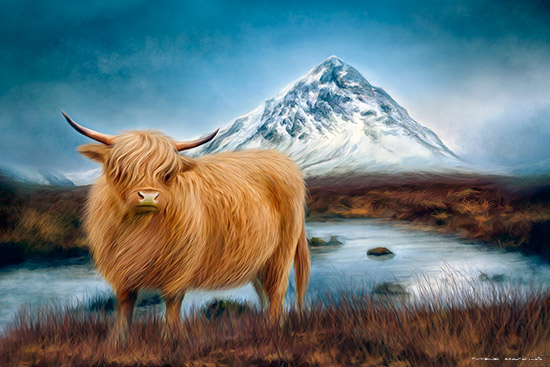 Glen Etive Highland Cow