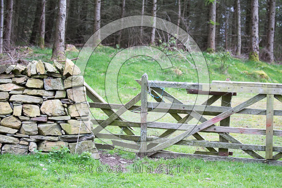 Bootle Farm Herdwick Sheep