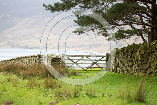 Armboth Fell Valley Lake district Sheep