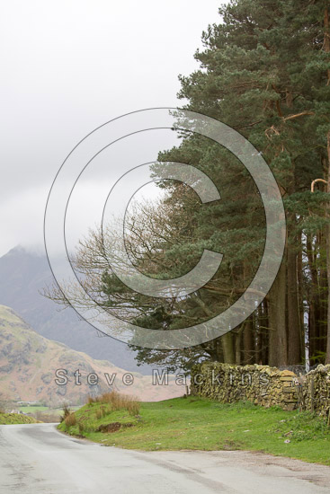 Uldale Farm Herdwick