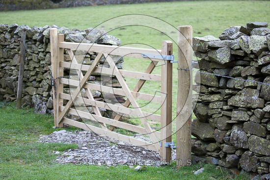 Troutbeck (Windermere) Farm Lake district Sheep