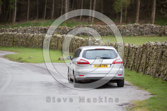 Rottington Farm Herdwick Sheep