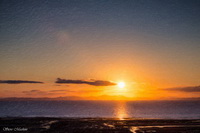 Skelton, Hawkshead, Herdwick, Dean, Whitehaven, Brandreth, Great Mell Fell, Herdies, Old Hutton, Harrison Stickle, Lakeland Sheep, Herdwick Sheep Oil Pastels, Herdwick Sheep Acrylic Painting, Bothel, Wiggonby, Castle Carrock, Mardale Ill Bell, Hard Knott, Herdwick Art, Binsey, Sail, Bakestall, Herdwick Artwork, Troutbeck Tongue, Catstycam, Herdwick Sheep Sketch,  Lake District, Cumbria.