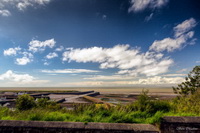 Herdwick Sheep Acrylic Paintings, Appleby-in-Westmorland, Selside Pike, Swinside, Causey Pike, Rampside, Chapel Stile, Gilcrux, Starling Dodd, Slate Fell, Herdy Sketch, Loadpot Hill, Herdies, Herdwick Sheep Sketch, Hen Comb, Herdwick, Herdwick Drawings, Croglin, Red Pike (Wasdale), Torver, Catstycam, Holmrook, Great Mell Fell, Herdwick Sheep Art, Lowther, Herdwick Wall Art, Seathwaite Fell, Holme Fell, Meal Fell, Herdy Sheep Artist, Mixed-Media Herdy Art, Far Sawrey, Crosthwaite, Castle Carrock,  Lake District, Cumbria.