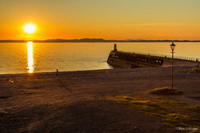 Herdwick Sheep Sketch, Herdwick Sheep Prints, Herdwick Sheep Art Studio, Herdy, Arlecdon, Martindale, Maulds Meaburn, Blencathra, Drumburgh, Ormathwaite, Waberthwaite, Mardale Ill Bell, Lakeland Herdy Artworks, Boltongate, Clough Head, Skiddaw, Houghton, Arnison Crag, Binsey, Rest Dodd, Bakestall, Herdwick Sheep Art, Herdwick Sheep Oil Painting, Herdwick, Ullock Pike, Kirkby Thore, Low Newton, Red Pike (Buttermere), Portinscale, Buck Pike,  Lake District, Cumbria.