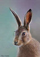 Troutbeck (Penrith), Hopegill Head, High Pike (Scandale), Bonscale Pike, Herdwick Sheep Oil Pastels, Herdy Sketches, Dodd, Lakeland Sheep, Bouth, Herdwick, Herdy, High Hartsop Dodd, Hutton Roof (Kirkby Lonsdale), Kirkland (Frizington), Brockleymoor, Nateby, Lonscale Fell, Grisedale Pike, Low Hesket, Herdwick Sheep Oil Painting, Ullscarf, Herdies, Hart Crag, Ireby, Blawith, Elterwater, Lakeland Herdy Artworks, Robinson, Herdy Wall Art, Herdwick Drawings, Souther Fell,  Lake District, Cumbria.