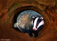 Herdwick Sketch, Far Arnside, Herdwick Art, Lakeland Sheep, Seatoller, Herdwick Sheep Oil Painting, Brockleymoor, Uldale, Gavel Fell, Brampton (Carlisle), Great Orton, Dodd, Harrison Stickle, Ulverston, Grange Fell, Herdwick Art Studio, Newton Arlosh, Herdwick Sheep Oil Pastels, Parsonby, Loadpot Hill, Herdwick Sketches, Scar Crags, Herdwick Sheep, Herdwick, Herdwick Sheep Art, Cleator Moor, Great Cockup, Herdwick Ewe, Seatallan,  Lake District, Cumbria.