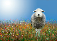 Kirkby Lonsdale, Dean, Low Fell, Kendal, Herdy Ewe, High Bankhill, Herdwick Sheep Prints, Illgill Head, Saint Sunday Crag, Herdy Wall Art, Barbon, Herdy Sketches, Pike of Stickle, Herdy Art, Swirl How, Herdwick Sheep, Herdy Sketch, Mixed-Media Herdy Art, Gamblesby, Birkhouse Moor, Latrigg, Lake District, Herdwick Sheep Oil Painting, Little Hart Crag, Herdwick Sheep Oil Pastels, Herdwick Wall Art, Rossett Pike, Cark (Cartmel), Herdwick Sheep Art,  Lake District, Cumbria.