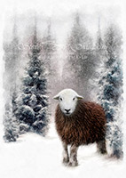 Herdy Sketch, Hallin Fell, Herdwick Sheep Oil Pastels, Herdy Sheep Artist, Carrock Fell, Meal Fell, Kirkby Thore, Sour Howes, Millbeck (Keswick), Long Side, Great Mell Fell, Near Sawrey, Rydal, Slate Fell, Barrow-In-Furness, Yewbarrow, Newby Bridge, Green Crag, Armathwaite, Herdwick, Herdy Art, Boltongate, Herdy Wall Art, Skiddaw, Raven Crag, Herdwick Sheep Art, Parsonby, Watch Hill, Herdwick Drawings,  Lake District, Cumbria.