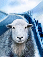 Eel Crag (Crag Hill), Cark (Cartmel), Herdwick Sheep Oil Painting, Herdwick, Sale Fell, Boustead Hill, Herdies, Herdy Ewe, Seaton, Hethersgill, Mixed-Media Herdy Art, Welton, Wansfell, Red Pike (Wasdale), Sedgwick, Herdwick Sheep Art, Lakeland Sheep, Blea Rigg, Barbon, Moor Row, Lakeland Herdy Artworks, Herdy Art, Grey Friar, Robinson, Clifton, Herdwick Sheep Acrylic Paintings, Brandreth, Herdy Sketches,  Lake District, Cumbria.