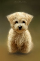 Herdy Sketch, Chapel Stile, Selside Pike, Herdy Art, Warwick-on-Eden, Fellbarrow, Herdy Wall Art, Herdy Sketches, Martindale, Burnbank Fell, Orton, Herdwick Sheep Art Studio, Birks, Watch Hill, Herdwick Sheep Prints, Bannerdale Crags, Helvellyn, Herdwick Sheep Oil Painting, Buckbarrow, Nenthead, Herdy, Herdies, Kirk Fell, Raughton Head, Embleton, Herdwick Sheep Oil Painting, Seascale,  Lake District, Cumbria.