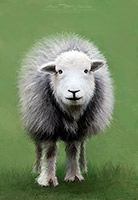 Long Side, Skelton, Stainton With Adgarley, Beda Fell, Herdy Ewe, Lakeland Sheep, Whiteless Pike, Herdy Sketches, Rockcliffe, Lakeland Herdy Artworks, Herdwick, Seatallan, Herdwick Sheep Art Studio, Herdy, Herdwick, High Street, Watch Hill, Ireleth, Dale Head, Kirkbride, Herdwick Wall Art, Illgill Head, Waterhead, Holme, Lorton (High and Low), Herdwick Sheep Prints, Cumrew, Cartmel Fell, Ill Bell, Red Screes,  Lake District, Cumbria.