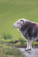 Helvellyn, Broom Fell, Herdwick Sheep Acrylic Paintings, Ings, Herdwick, Ullscarf, Cartmel Fell, Herdwick, Herdy, Bowfell, Herdwick Sheep Art, Eel Crag (Crag Hill), High Pike (Caldbeck), Embleton, Herdies, Rusland, Herdwick Sheep Oil Painting, Ireleth, St. Bees, Renwick, Wansfell, Thornthwaite Crag, Bassenthwaite, Whin Rigg, Herdwick Drawings, Herdwick Sheep Sketch, Mixed-Media Herdy Art, Brown Pike, Applethwaite, Swirl How, Herdy Wall Art, Herdwick Artwork,  Lake District, Cumbria.