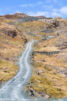 Bardsea, Herdwick Sheep Prints, Seathwaite (Borrowdale), Herdwick Drawings, Crinkle Crags, Lakeland Sheep, Herdwick Sheep Oil Painting, Ard Crags, Esk Pike, Catstycam, Cleator Moor, Arnside, Herdwick Sheep Art, Herdwick Sketches, Ravenglass, Herdwick Sheep Oil Pastels, Banks, Crag Fell, Blencathra, Herdwick Sheep, Troutbeck Tongue, Moor Row, Watch Hill, Herdwick Sheep Acrylic Painting, Seatoller, Lorton (High and Low), Herdwick Art Studio, Herdwick,  Lake District, Cumbria.