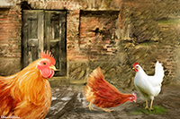 Rest Dodd, Robinson, Herdwick, Illgill Head, Lake District, Herdwick Sheep Oil Pastels, Carl Side, Braithwaite, Mixed-Media Herdy Art, Little Langdale, Dent, Lakeland Herdy Artworks, Herdwick Sheep Art Studio, Herdy Sketches, Herdwick Sheep Oil Painting, Brough, Holker, Plumbland, Fleetwith Pike, Roa Island, Raise, Herdwick Wall Art, Hindscarth, Grey Knotts, Herdwick Sheep Art, Herdwick Sheep, Newton Arlosh, Gosforth, White Side, Herdwick Artwork,  Lake District, Cumbria.