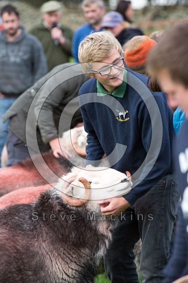 Applethwaite Farm Herdwick