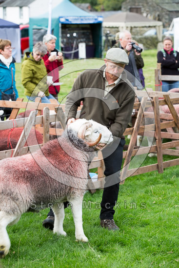 Glenridding Valley Herdwick