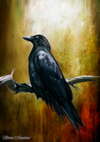 Talkin, Haycock, Herdwick Ewe, Sergeant Man, Herdwick Drawings, Lowthwaite Fell, Dockray, Great Calva, Calder Bridge, Lanercost, Herdwick Sheep Prints, Far Sawrey, Illgill Head, Herdwick Sketches, Longtown, Wansfell, Spark Bridge, Pillar, Herdwick Sheep Art, Herdwick Art Studio, Beckermet, Lakeland Sheep, Steeple, Ackenthwaite, Lingmoor Fell,  Lake District, Cumbria.