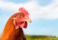 High Raise, Rosthwaite Fell, Lakeland Sheep, Brae Fell, Lowthwaite Fell, Askham, Herdwick Sheep Oil Painting, Herdwick, Pike of Stickle, Blawith, Scoat Fell, Herdwick Wall Art, Whiteless Pike, Herdwick Sheep Art, Herdwick Sheep Oil Painting, Haverthwaite, Coniston Old Man, Ings, Herdwick Sheep Sketch, Ennerdale Bridge, Herdwick Sheep Oil Pastels, Angletarn Pikes, Storth, Allonby, Dollywaggon Pike, Bakestall, Herdwick, Ormathwaite, Herdwick Sheep Acrylic Paintings, Herdy Wall Art, Harrington, Herdy Art, Burton-in-Kendal, Catstycam,  Lake District, Cumbria.