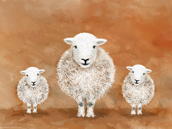 Herdwick Ewe & Lambs Scribble