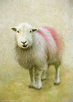 Herdwick Sheep Art, Herdy Sketch, Herdwick Wall Art, Herdwick Sheep, Lakeland Herdy Artworks, Herdwick Sheep Art Studio, Herdy Sketches, Herdy Sheep Artist, Herdwick Artwork, Herdwick Sheep Acrylic Paintings, Herdwick Sheep Prints, Herdy Art, Herdy, Herdwick, Herdwick Sheep Oil Painting, Lakeland Sheep, Herdwick Sheep Sketch, Herdwick, Herdwick Drawings, Herdies, Herdy Ewe, Mixed-Media Herdy Art, Herdwick Sheep Oil Pastels, Herdy Wall Art, Sandside, Brock Crags, Hen Comb, Kentmere Pike, Pennington, Glaramara, Nethermost Pike, Wreay (Carlisle), Seathwaite (Borrowdale), Raise, Great Gable, Crosb