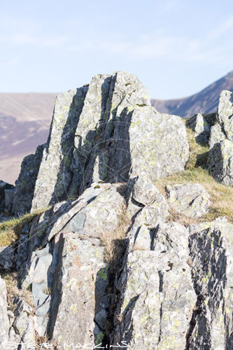 Moor Row Farm Herdwick Sheep