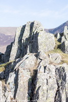 Herdy Wall Art, Herdy Ewe, Herdwick Sheep Sketch, Herdwick Sheep Oil Painting, Herdy Sketches, Herdwick Sheep Art Studio, Lakeland Herdy Artworks, Herdwick Artwork, Lakeland Sheep, Herdwick, Herdwick Sheep Oil Pastels, Herdwick Sheep Art, Herdwick Sheep Prints, Herdy Sheep Artist, Mixed-Media Herdy Art, Herdy, Herdy Sketch, Herdies, Herdy Art, Herdwick Wall Art, Herdwick Drawings, Herdwick Sheep Acrylic Paintings, Herdwick Sheep, Herdwick Sheep Oil Painting, Morland, Hartsop, Drumburgh, Far Arnside, Kidsty Pike, Glaramara, Wansfell, Beetham, Great Asby, Banks, Lazonby, Swarthmoor, Cumdivock, L