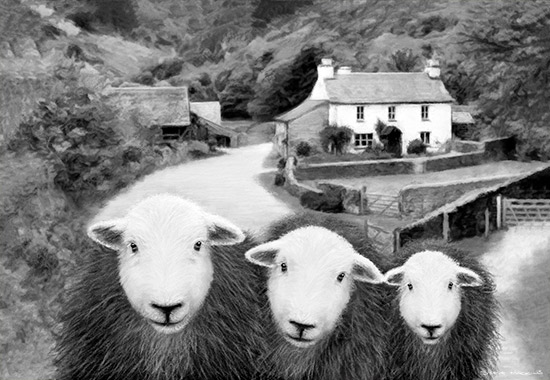 Yew Tree Herdwicks (Black + White)