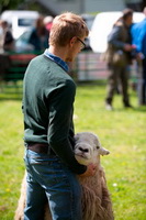 Holme Fell, Herdwick Sheep Prints, Winster, Carl Side, Herdy Ewe, Mixed-Media Herdy Art, Newlands (Keswick), Allithwaite, Muncaster Fell, Thunacar Knott, Kidsty Pike, Red Screes, Bewcastle, Herdy Art, Cumwhinton, Lakeland Sheep, Tebay, Routenbeck, Stone Arthur, Herdy, Herdwick Sheep Oil Painting, Mealsgate, Fellbarrow, Grasmoor, Herdy Sheep Artist, Wetherlam, Herdwick Sheep Acrylic Paintings, Red Pike (Buttermere), Herdies, Blackford,  Lake District, Cumbria.