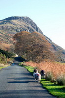 Crinkle Crags, High Pike (Caldbeck), Lakeside, Askham, Herdwick Sketch, Herdwick Sheep Oil Painting, Eaglesfield, Black Combe, Herdwick Art Studio, Herdwick, Cark (Cartmel), Ambleside, Rydal, Graystones, Herdies, Boustead Hill, Steeple, Brim Fell, Low Hesket, Beda Fell, Kirk Fell, Herdwick Art, Herdwick, Steel Knotts, Wigton, Hilton, Herdwick Sheep Oil Pastels,  Lake District, Cumbria.