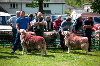 Backbarrow, Morland, Casterton, Herdwick Sheep Art Studio, Red Pike (Buttermere), Kidsty Pike, Herdy Wall Art, Whinlatter, Herdwick Sheep Art, Rockcliffe, Cumrew, Herdy Sketches, Mixed-Media Herdy Art, Slate Fell, Roa Island, Great Borne, Rannerdale Knotts, Herdwick Sheep Oil Pastels, Herdwick Artwork, White Side, Brigsteer, Lakeland Herdy Artworks, Wigton, Arnison Crag, Latrigg,  Lake District, Cumbria.