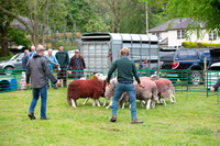 Herdwick Sheep Art, Allithwaite, Herdy Sketch, Grange Fell, Grinsdale, Allonby, Nethermost Pike, Penruddock, Herdwick Sheep, Herdwick Sheep Acrylic Paintings, Eel Crag (Crag Hill), Brim Fell, Meal Fell, Caw Fell, Catstycam, Pennington, Herdwick Sheep Art Studio, Holme Fell, Mixed-Media Herdy Art, Blea Rigg, Haycock, Great Asby, Whin Rigg, Routenbeck, Whitbeck, Gibson Knott, Herdy Art, Lakeland Herdy Artworks,  Lake District, Cumbria.