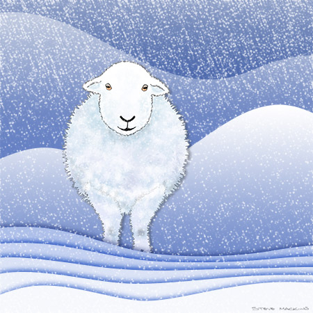 Winter Herdwick II