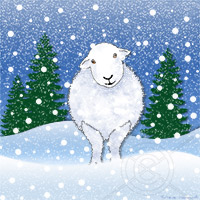 Art Gallery Prints, Irton with Santon, Hayton (Brampton), Kirkhouse, Herdwick Sheep Oil Painting, Whin Rigg, Low Hesket, Allen Crags, Herdwick, Broughton Beck, Bromfield, PhotoBoard Prints, Ennerdale Bridge, Tebay, Blencathra, Herdwick Sheep Acrylic Painting, High Raise, Herdwick Tup, Acrylic Prints, Dodd, Greysouthen, Routenbeck, Herdwick Art Studio, Seat Sandal, Lakeland Sheep, Hethersgill, Fleetwith Pike, Wetheral,  Lake District, Cumbria.