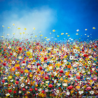 Outer Hebrides, Machair, Scotland, Flowers