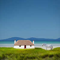 Isle of Harris, Luskentyre, Beach, Pony, Horse, White, Hebrides
