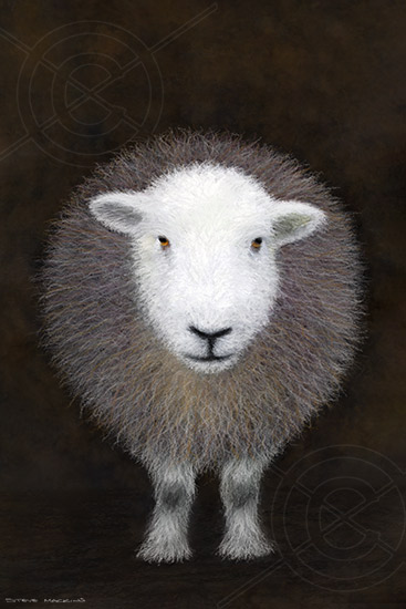 Helena Herdwick II