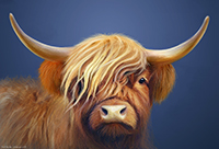 Heilan Coo, Hannie, Highland Cow, Art, Print, Artwork, Canvas, Aluminium, Acrylic, Scotland, Scotia