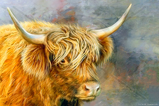 Buttermere Highland Cow - Highland Cows Art - Art Prints Buttermere Highland Cow