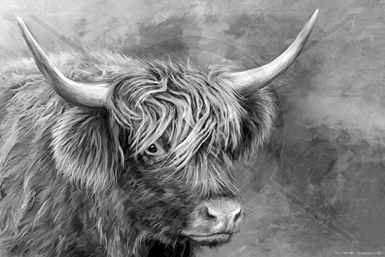 Buttermere Highland Cow Black and White Version