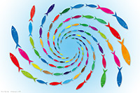 Fish Spirals II, Vector, Graphics, Artwork, Print, Fish, Shoal.