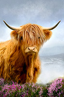 Ella the Highland Cow | Ella the Highland Cow, Art, Artwork, Painting, Snow, Christmas Gift Artwork, Birthday Gift Artwork Ella the Highland Cow, Art, Artwork, Painting, Snow, Christmas Gift Artwork, Birthday Gift Artwork