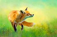 Buttermere Fox III | Buttermere, Fox, Cumbria, Lake District Buttermere, Fox, Cumbria, Lake District