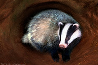 Badger