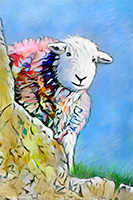 Herdwick, Herdy Wall Art, Herdwick Sheep Acrylic Paintings, Herdwick Sheep, Herdy Art, Herdwick Sheep Prints, Herdwick, Herdwick Sheep Art Studio, Herdwick Sheep Oil Painting, Lakeland Sheep, Herdy Sheep Artist, Lakeland Herdy Artworks, Mixed-Media Herdy Art, Herdwick Sheep Oil Pastels, Herdwick Sheep Art, Herdwick Wall Art, Herdwick Artwork, Herdwick Sheep Sketch, Herdy Ewe, Herdwick Drawings, Herdy Sketch, Herdy Sketches, Herdy, Herdies, Scotby, Ulverston, Rydal, Parsonby, High Tove, Gilsland, Sallows, Lakeland, Hartley, Endmoor, Great Borne, Cleator Moor, Leasgill, Arkleby, Black Combe, Hig