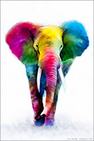 African Elephant I, Art, Interior Design, Decor, Wall Art